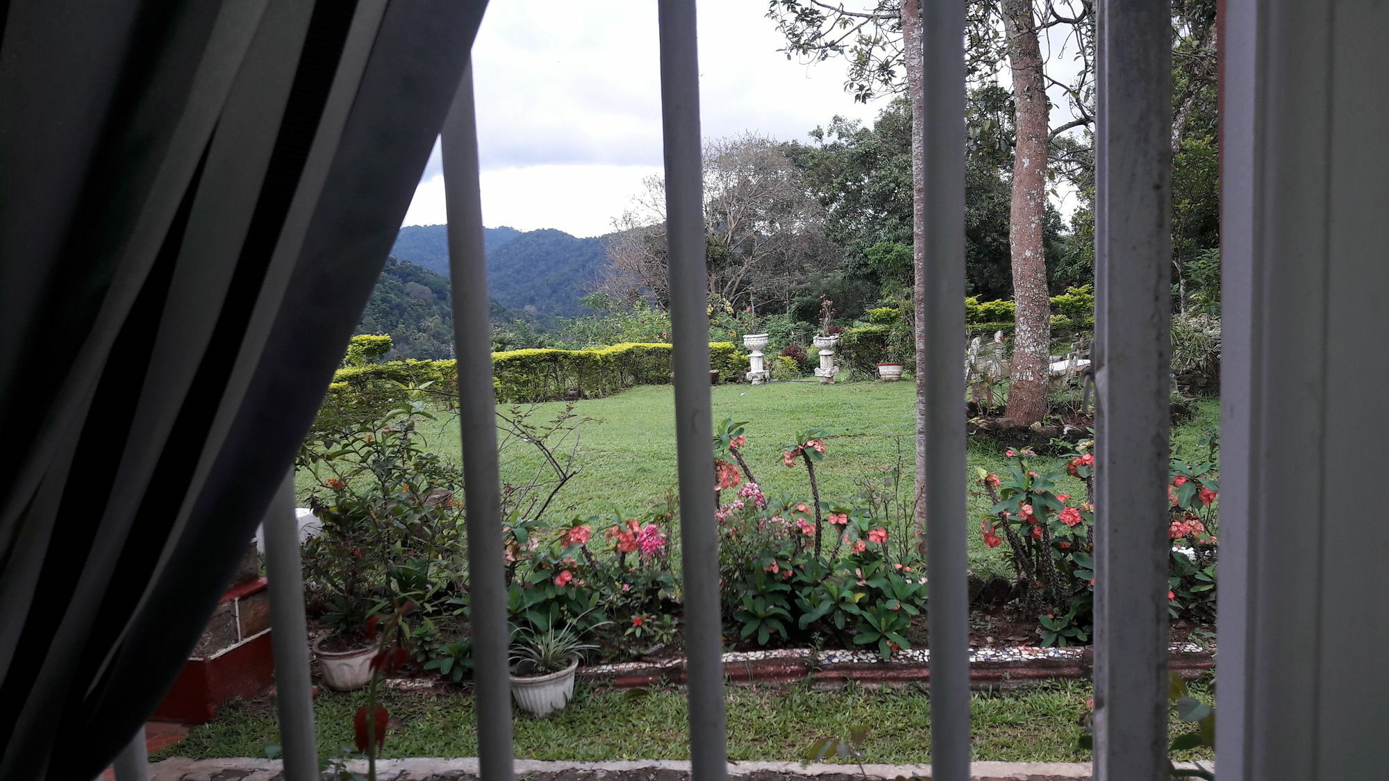 Oyo 441 Kandy Hill Bungalow Exterior photo